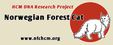 Norwegian Forest Cat HCM DNA Research Project