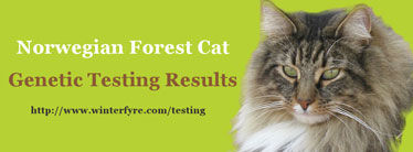 Norwegian Forest Cat Genetic Testing Results